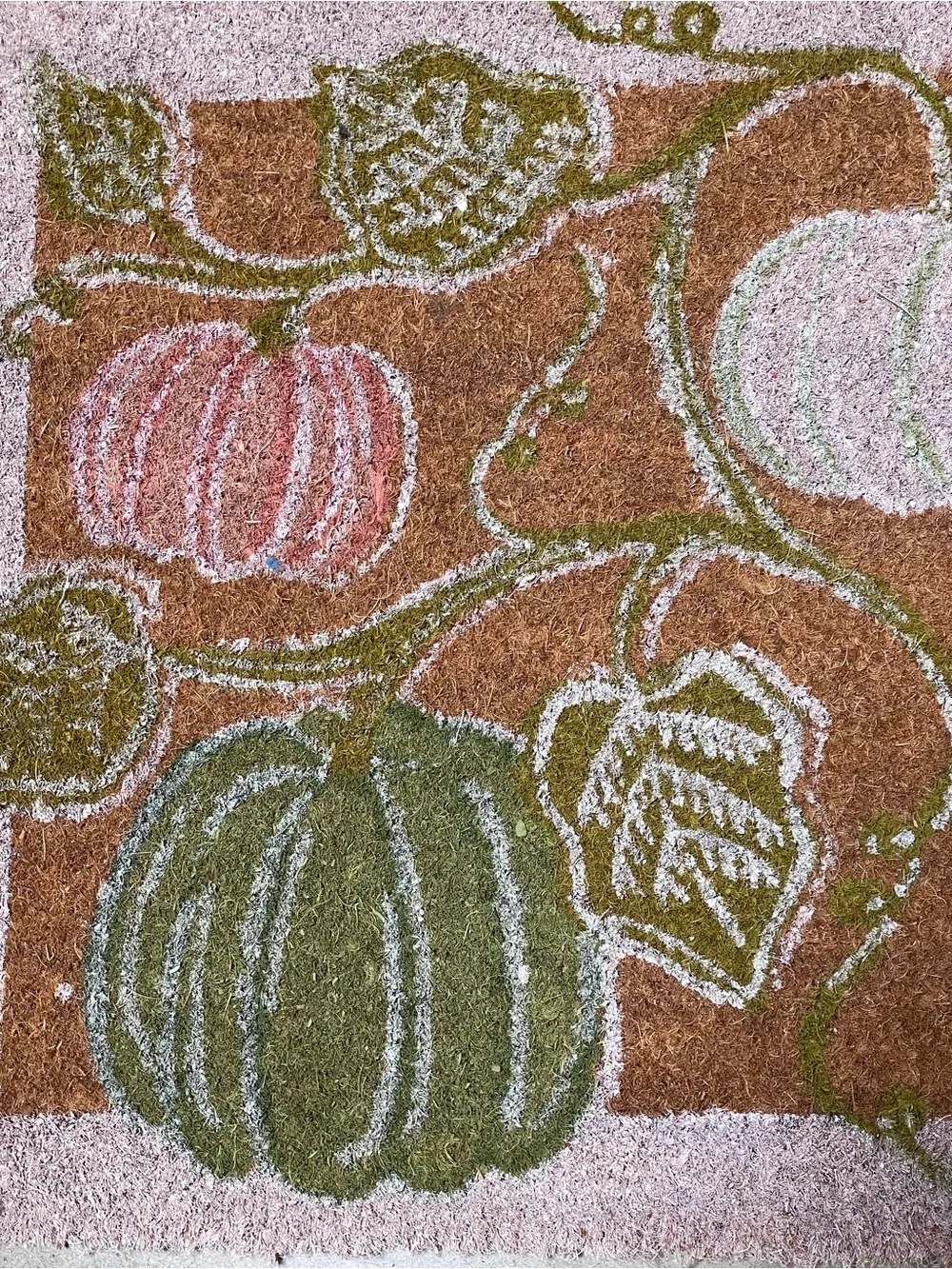 Anthropologie Bruna Autumn Pumpkin Printed Coir Doormat - Multicolor (18”x30”)